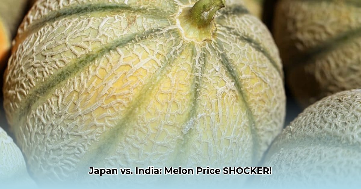 muskmelon-price